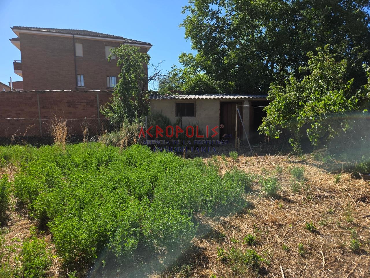 Casa en Calle Miguel de Cervantes 15 (VILECHA)