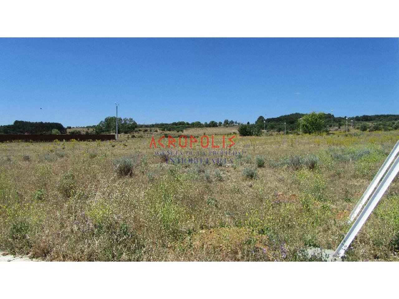 VENTA DE PARCELA EN BENAVENTE, ZAMORA